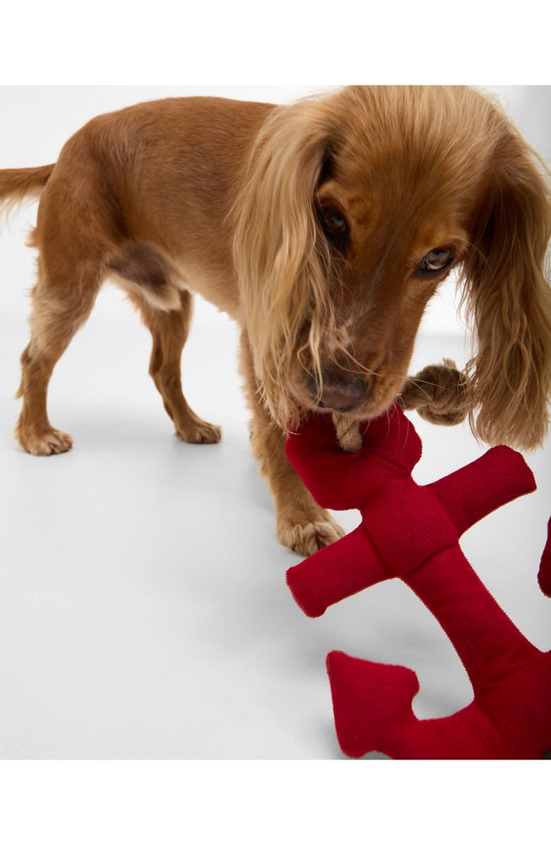 Barbour Anchor Dog Toy, Alternate, color, Red