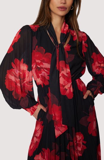 Scarlet Melody Floral Long Sleeve Maxi Dress