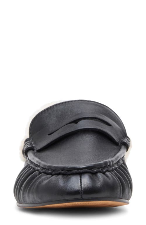 Steve Madden Rafe Genuine Shearling Mule In Black