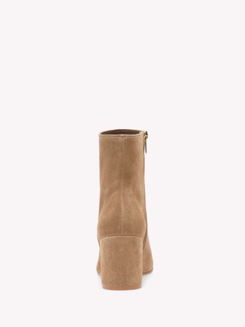 Gianvito Rossi Joelle Booties In Brown