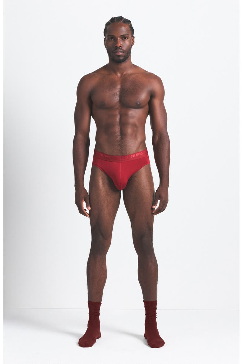 Men's 3-Pack Seamless Modal Blend Briefs, Alternate, color, WOOD MULTI