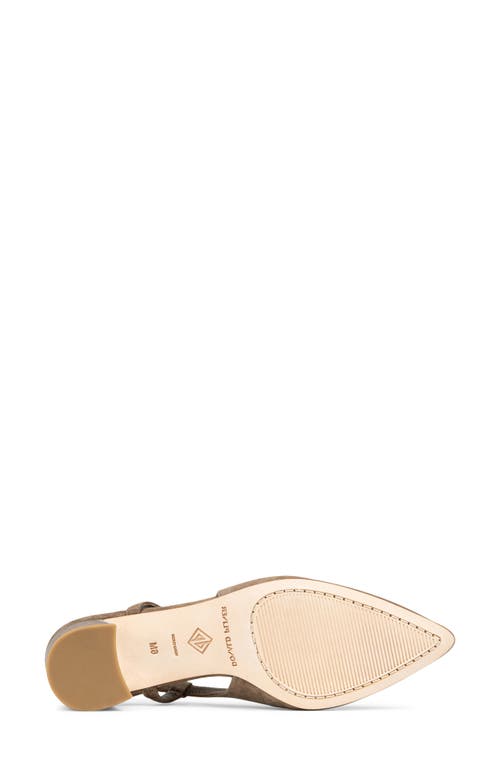 Donald Pliner Song Slingback Pointed Toe Pump In Brown