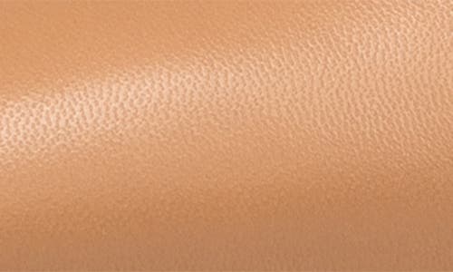 Shop Christian Louboutin Jenlove Ankle Strap Pointed Toe Pump