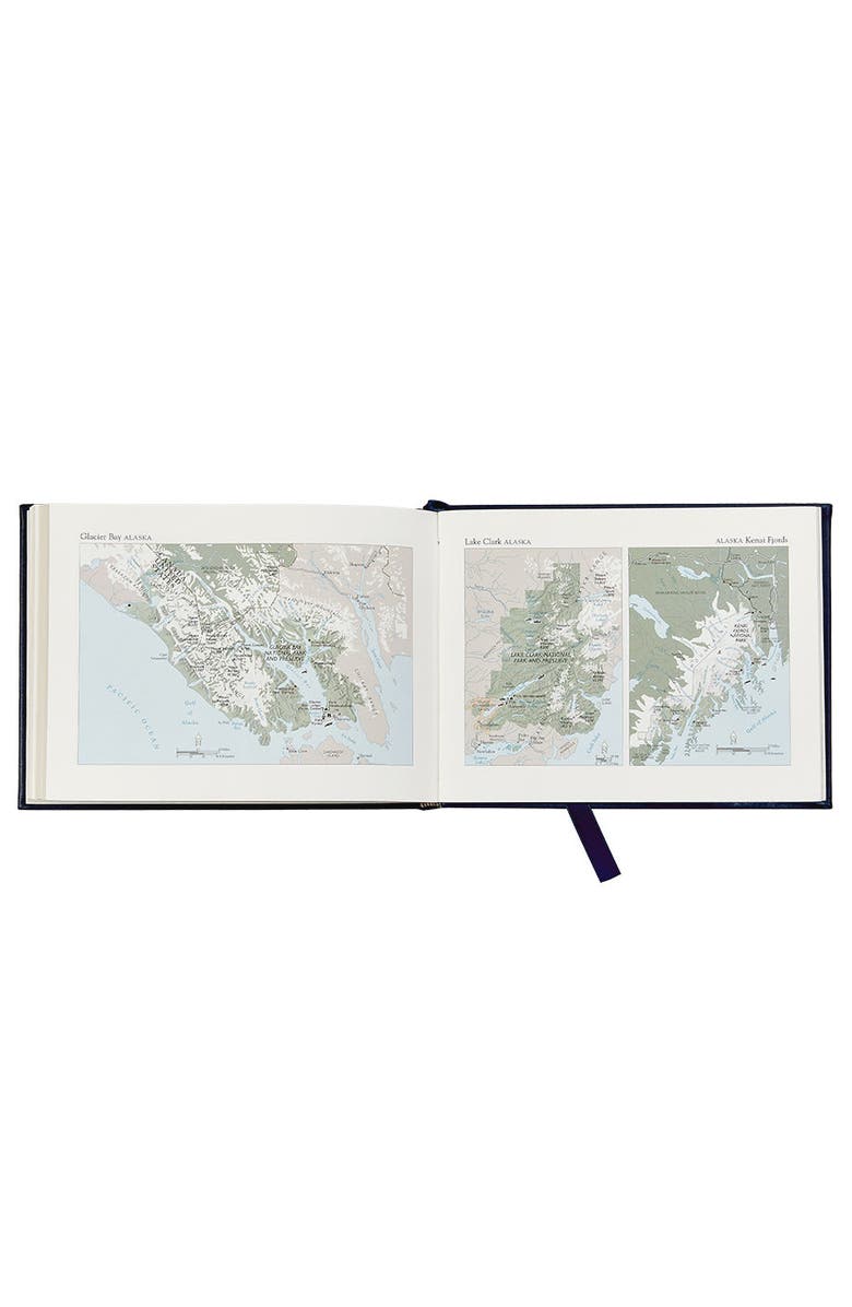 Graphic Image Ship's Log, Alternate, color, Cognac