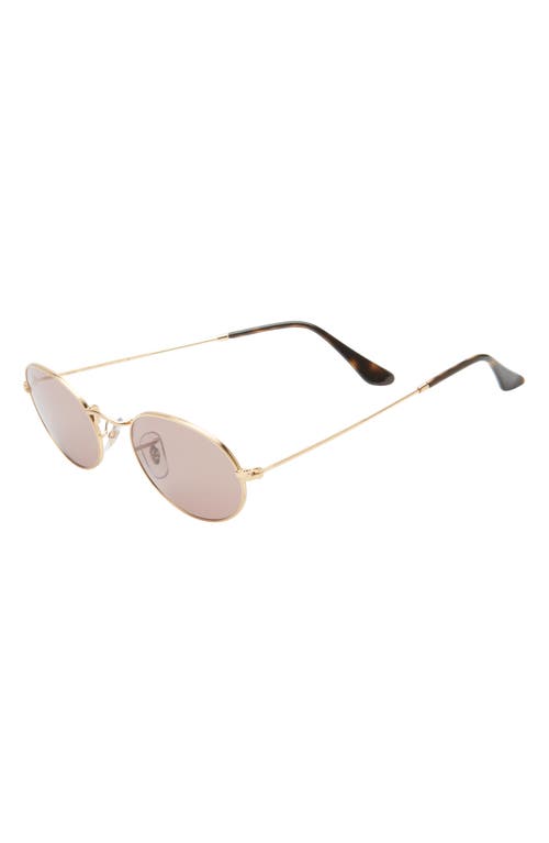 Ray Ban Ray-ban Oval 51mm Sunglasses In Arista Gold