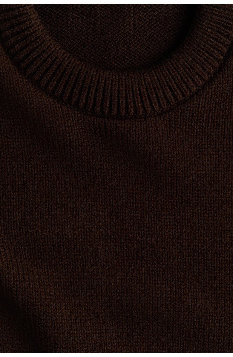 H&M Jumper With Scarf, Alternate, color, Dark Brown