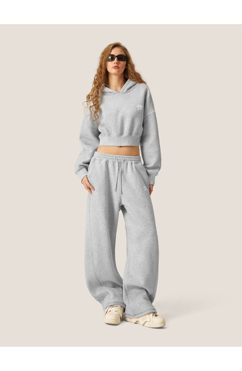 AELFRIC EDEN Cloud Essential Fleece Cropped Pullover Hoodie Set, Main, color, Grey