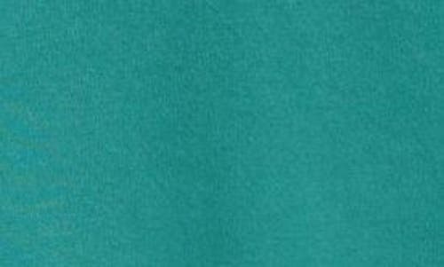Moncler Logo Cotton T-shirt In Botanical Garden