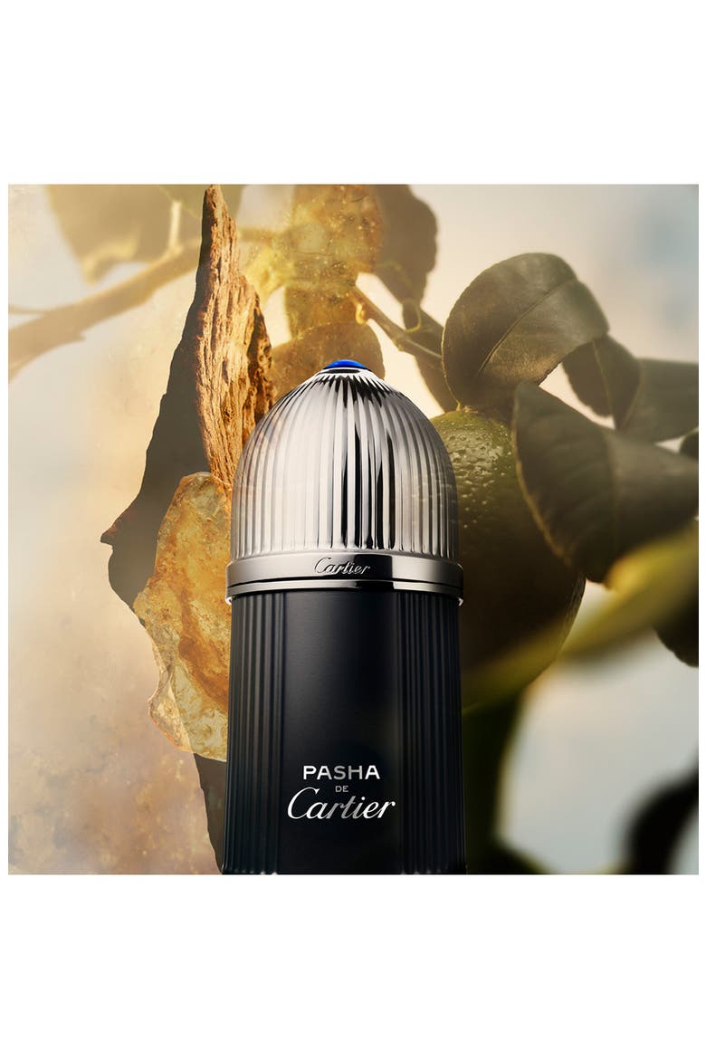 Pasha de Cartier Edition Noir Fragrance, Alternate, color, NO COLOR