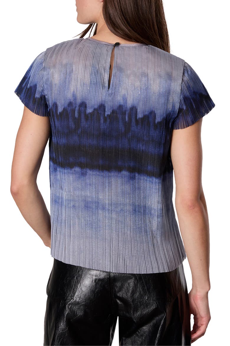 Hailey Printed Organza Top, Alternate, color, LTBLUMLTI