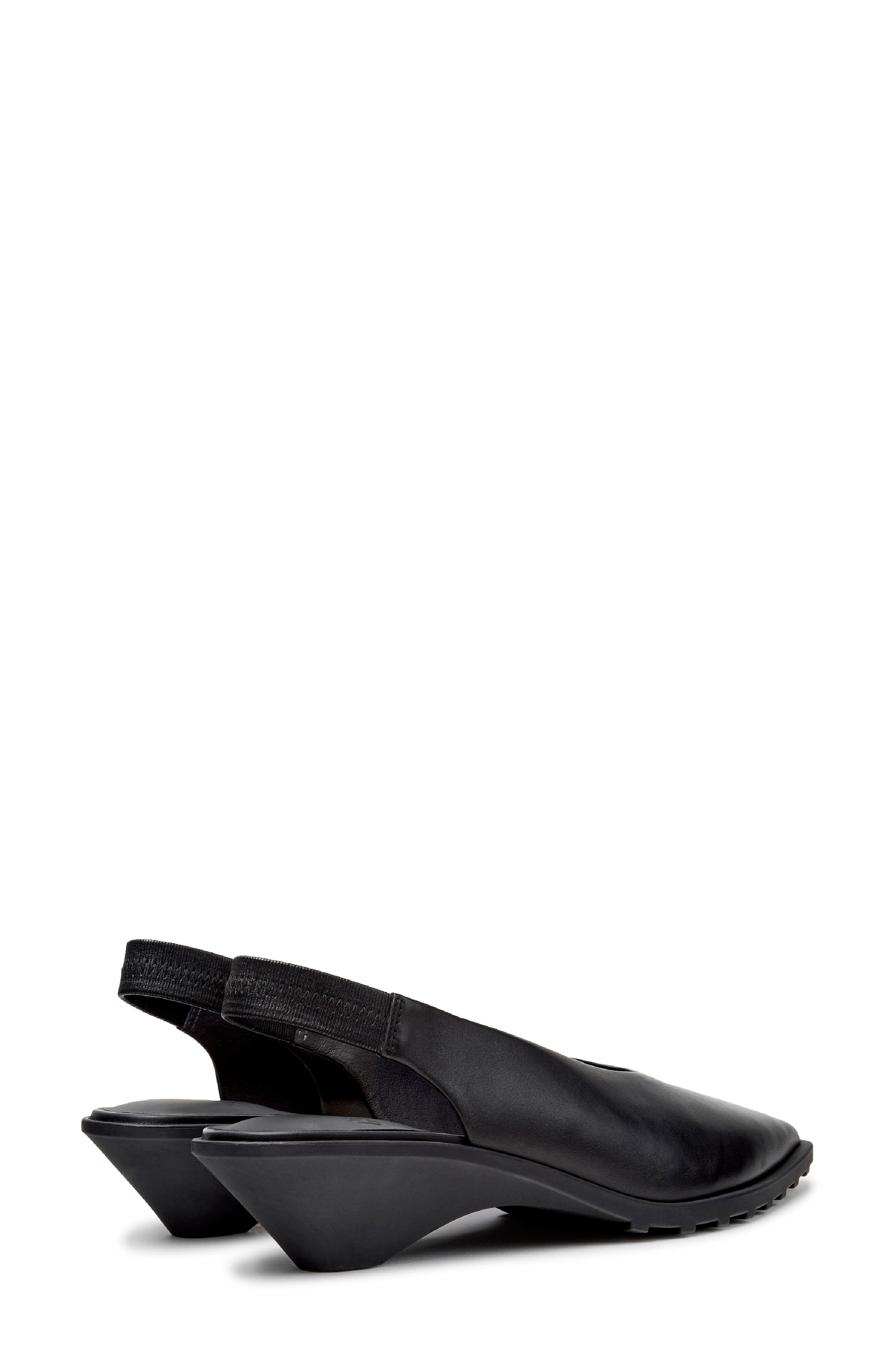 Anita Slingback Pointed Toe Flat, Alternate, color, BLACK