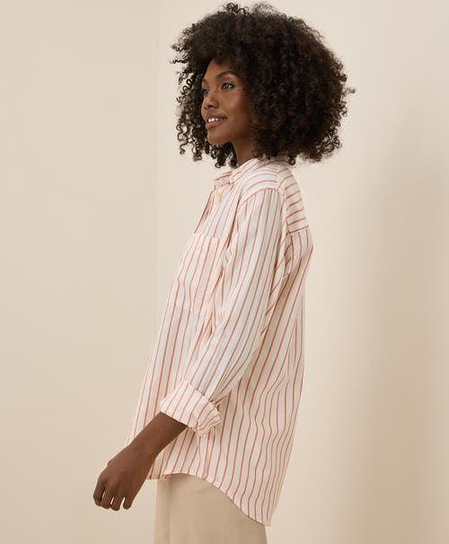 Pact Organic Cotton Sunset Lightweight Cotton Classic Shirt In Zuma Stripe