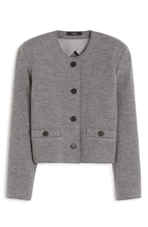 Weekend Max Mara Savona Wool Jacket In Gray