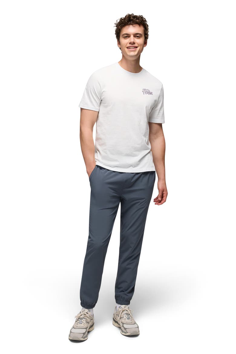 Discovery Trail Joggers, Alternate, color, THUNDERCLOUD