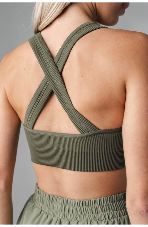 Vitality Synergy X Bra In Willow