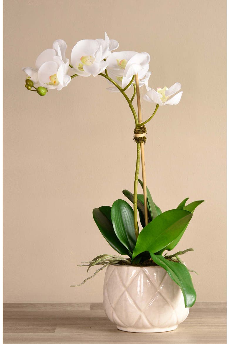Stella Orchid Planter Decoration, Alternate, color, WHITE SMALL