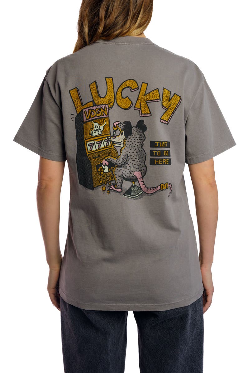 Vardagen Caesars Possum Heavyweight Tee, Alternate, color, Faded Grey