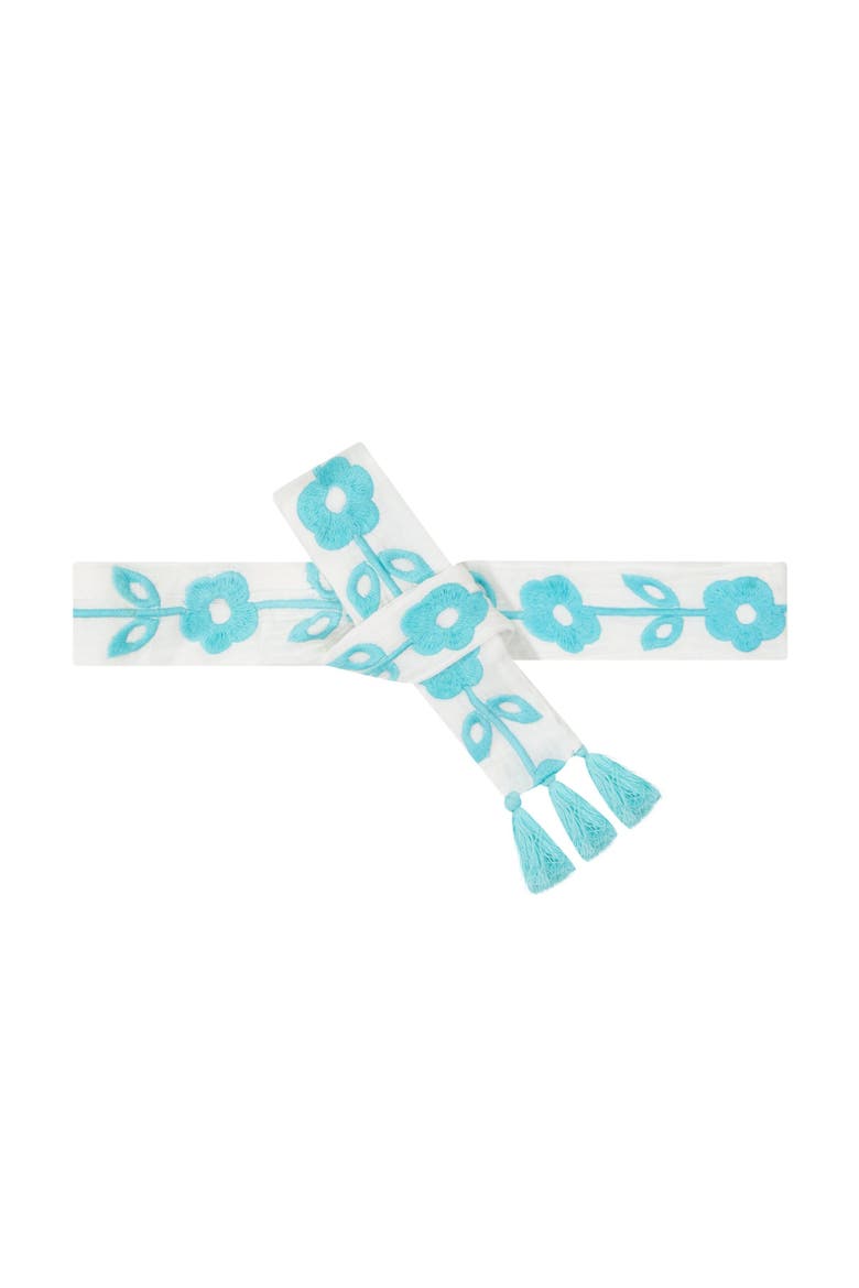 Embroidery Belt, Main, color, Aqua