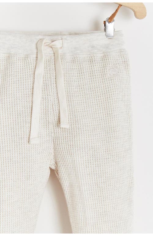 Babycottons Pima Cotton Waffle Knit Pants Sidney For Infant In White