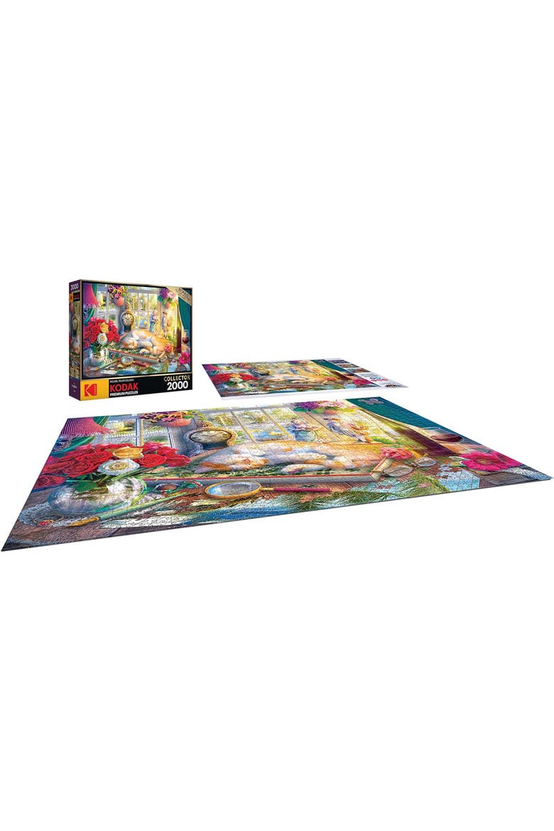 Roseart Puzzle Time 2000 Piece Puzzle, Cardboard, Kids & Adults, Alternate, color, Multicolored