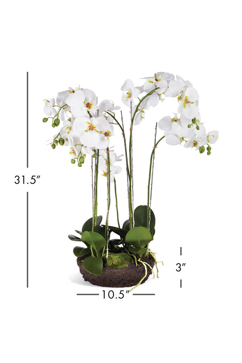 Phalaenopsis Bowl Drop-In 31.5", Alternate, color, White