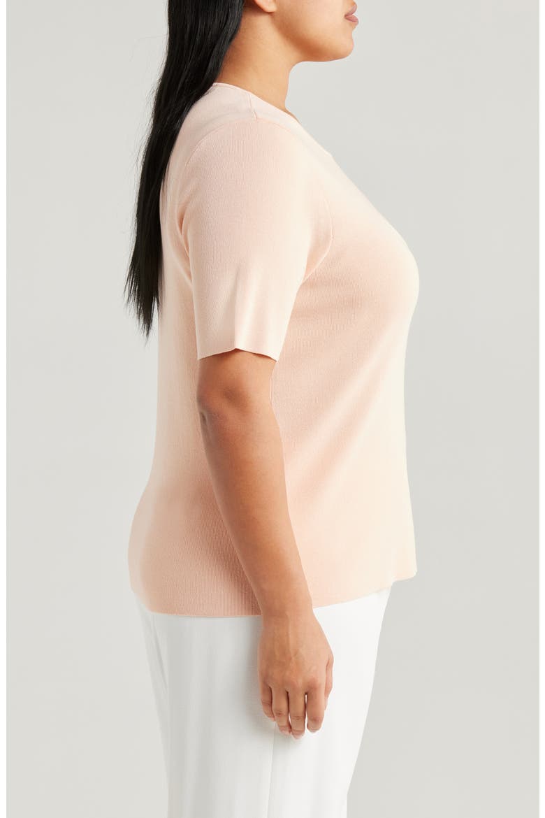 Short Sleeve Sweater, Alternate, color, PARFAIT