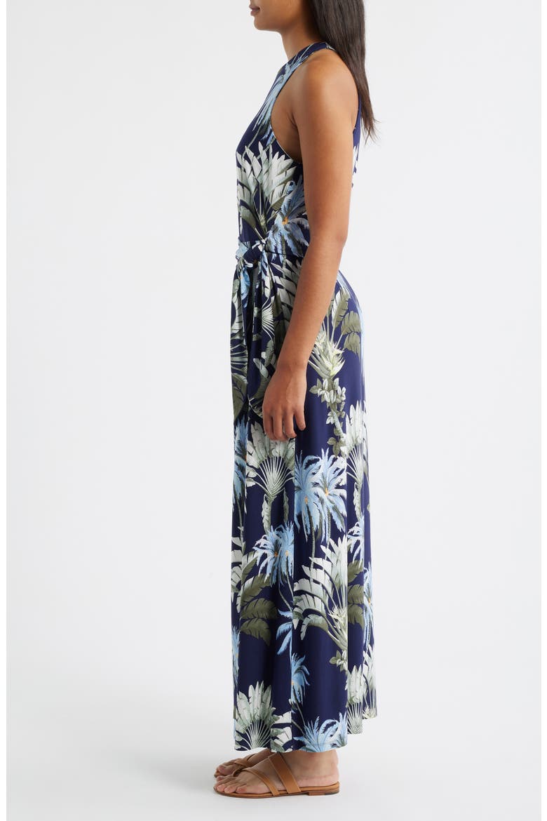 Jasmina Palisade Sleeveless Maxi Dress, Alternate, color, COASTLINE