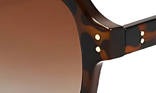 Fifth & Ninth Ender 53mm Polarized Aviator Sunglasses In Brown
