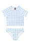  Blue Gingham