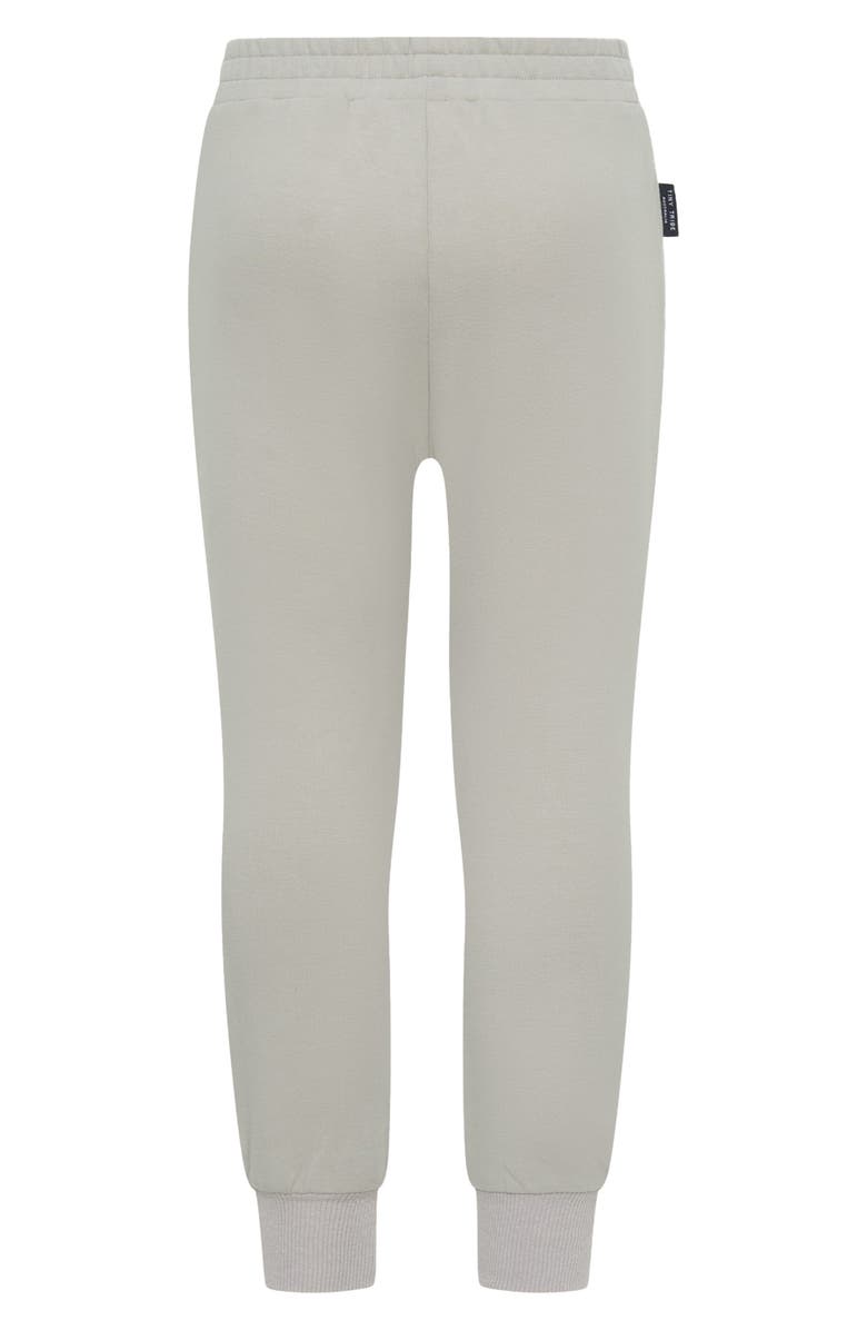 TINY TRIBE Kids' Core Joggers, Alternate, color, Grey