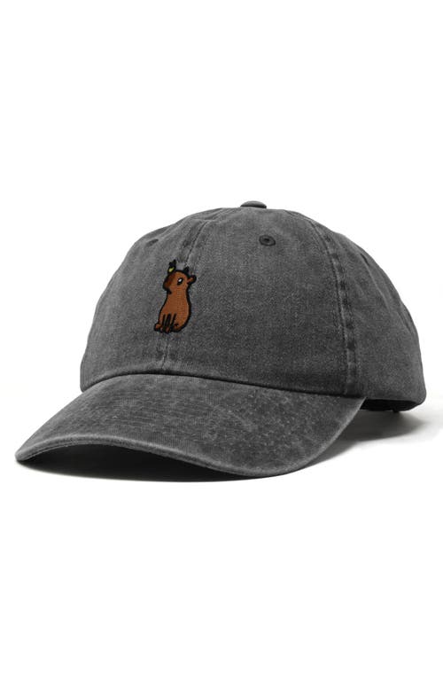 Dalix Capybara Embroidered Everyday Hat In Washed Black
