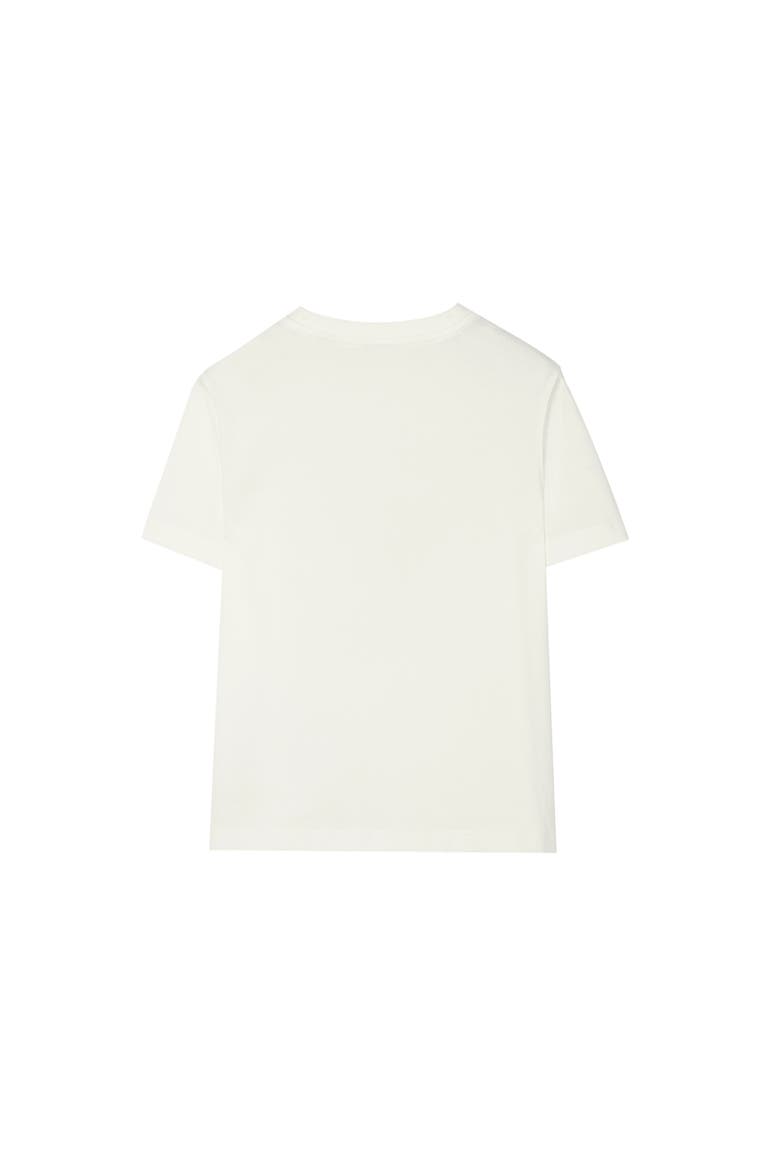 Flag Cotton T-shirt, Alternate, color, Chalk white