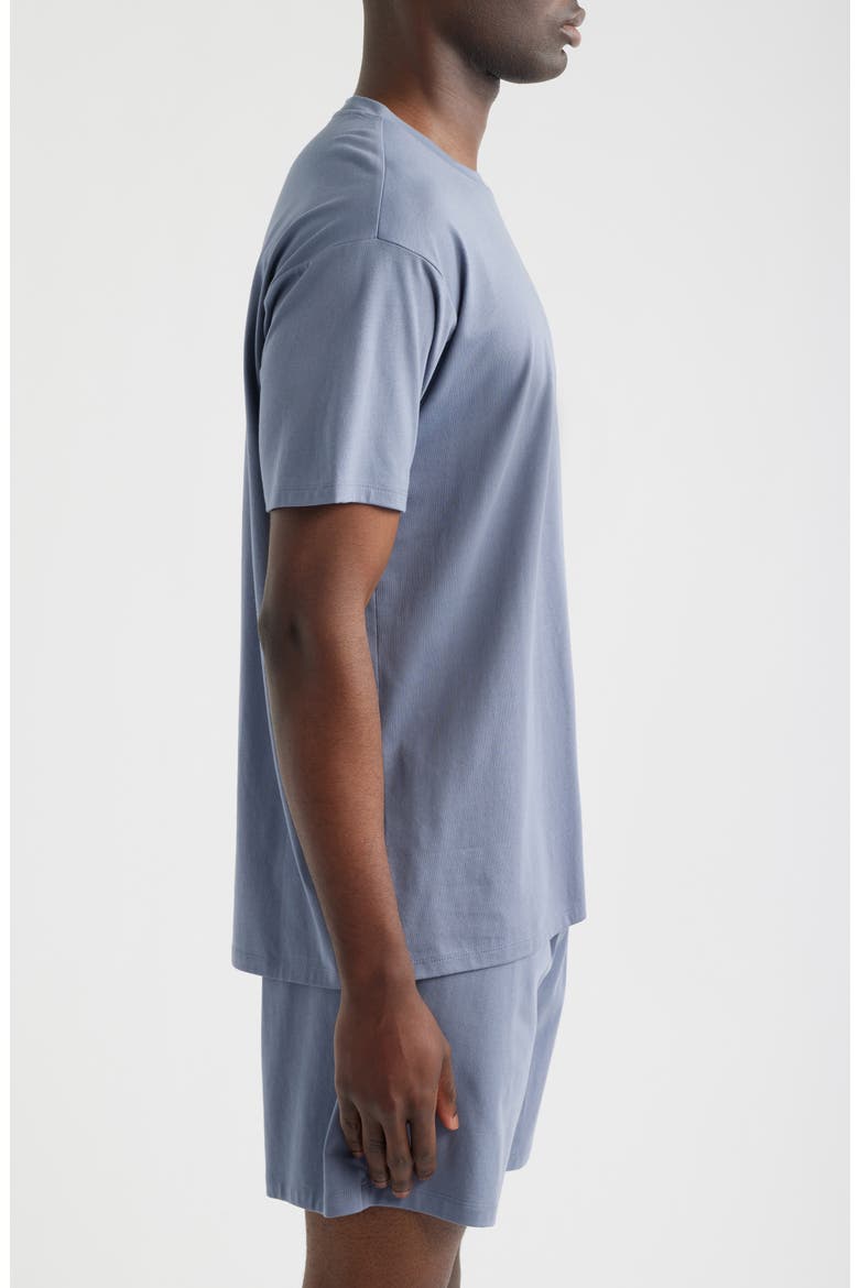 Cotton & Modal Crewneck T-Shirt, Alternate, color, GREY FOLKSTONE