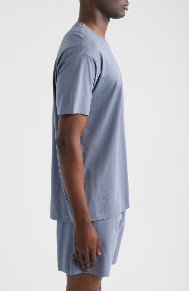 Nordstrom Cotton & Modal Crewneck T-Shirt, Alternate, color, Grey Folkstone