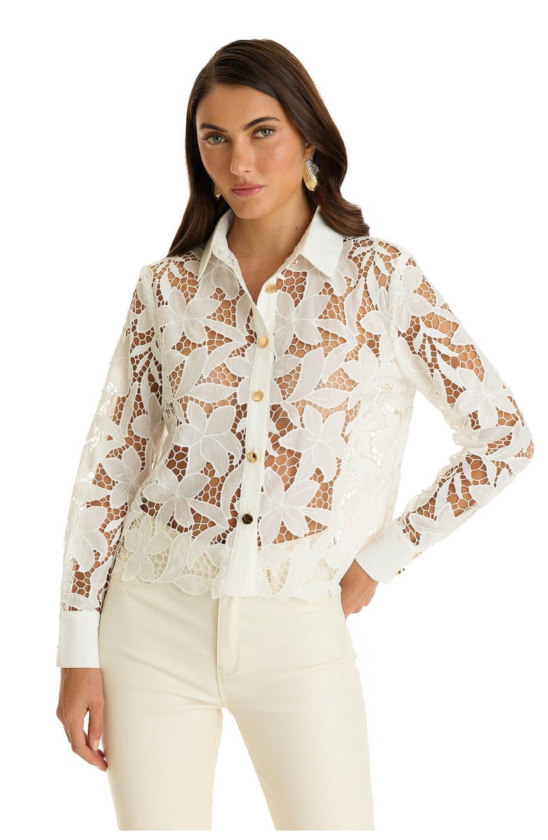 The Noli Shop Mina Lace Blouse, Main, color, 