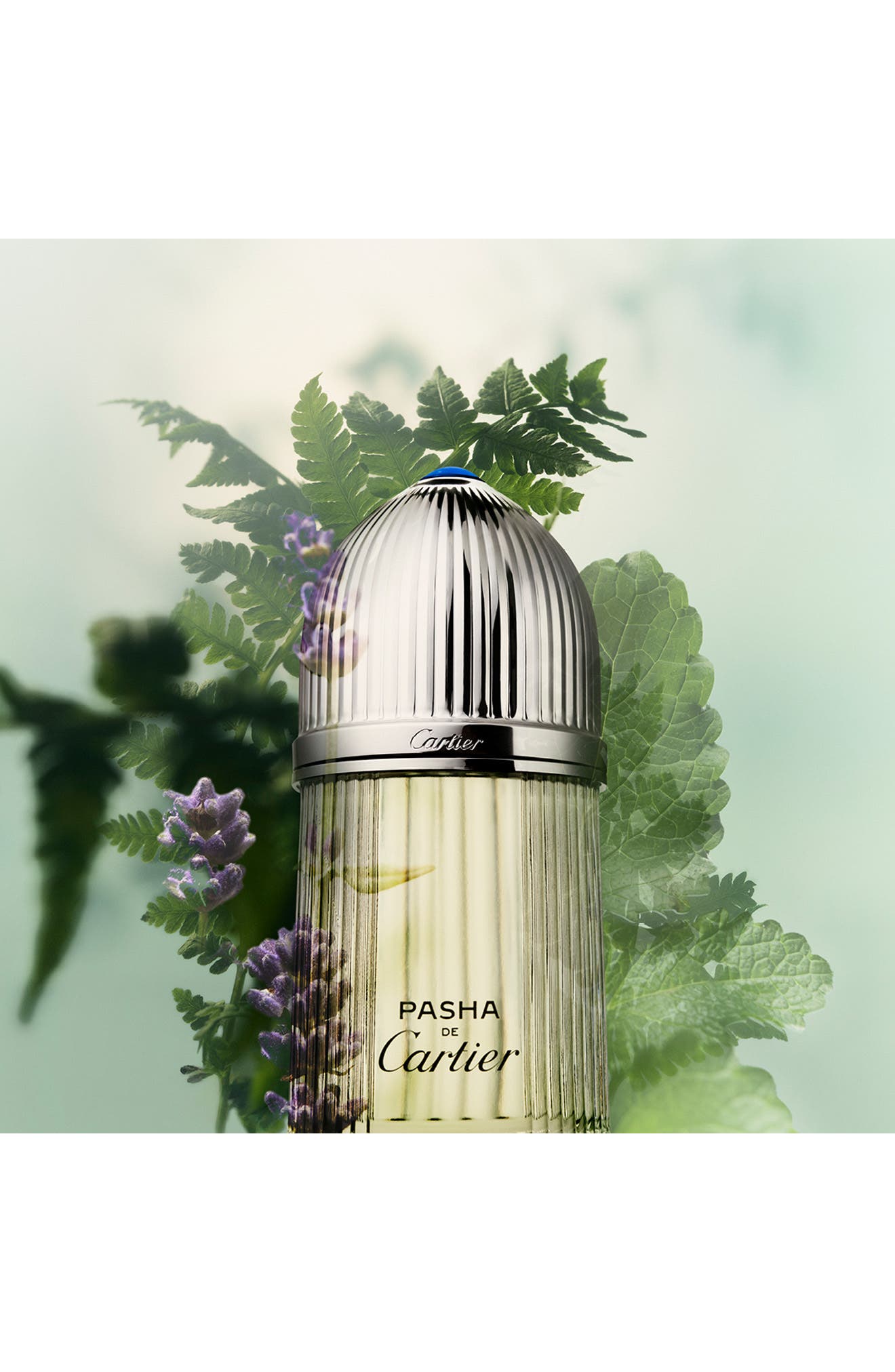 Cartier Pasha de Cartier Eau de Toilette (Men) | Nordstrom