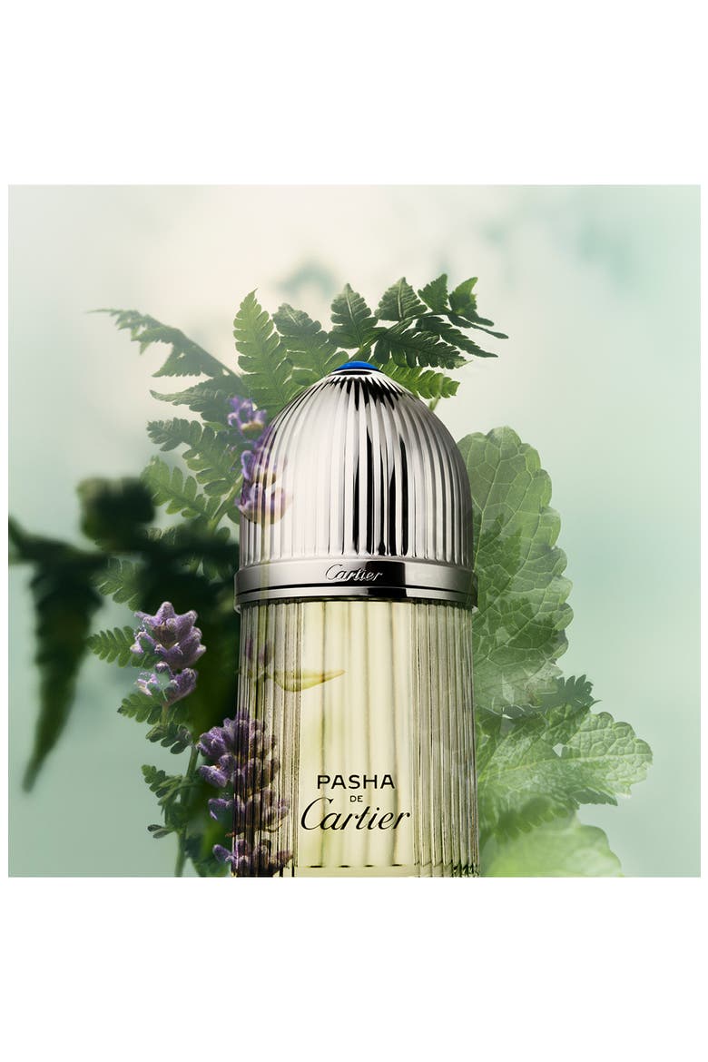 Pasha de Cartier Eau de Toilette, Alternate, color, NO COLOR