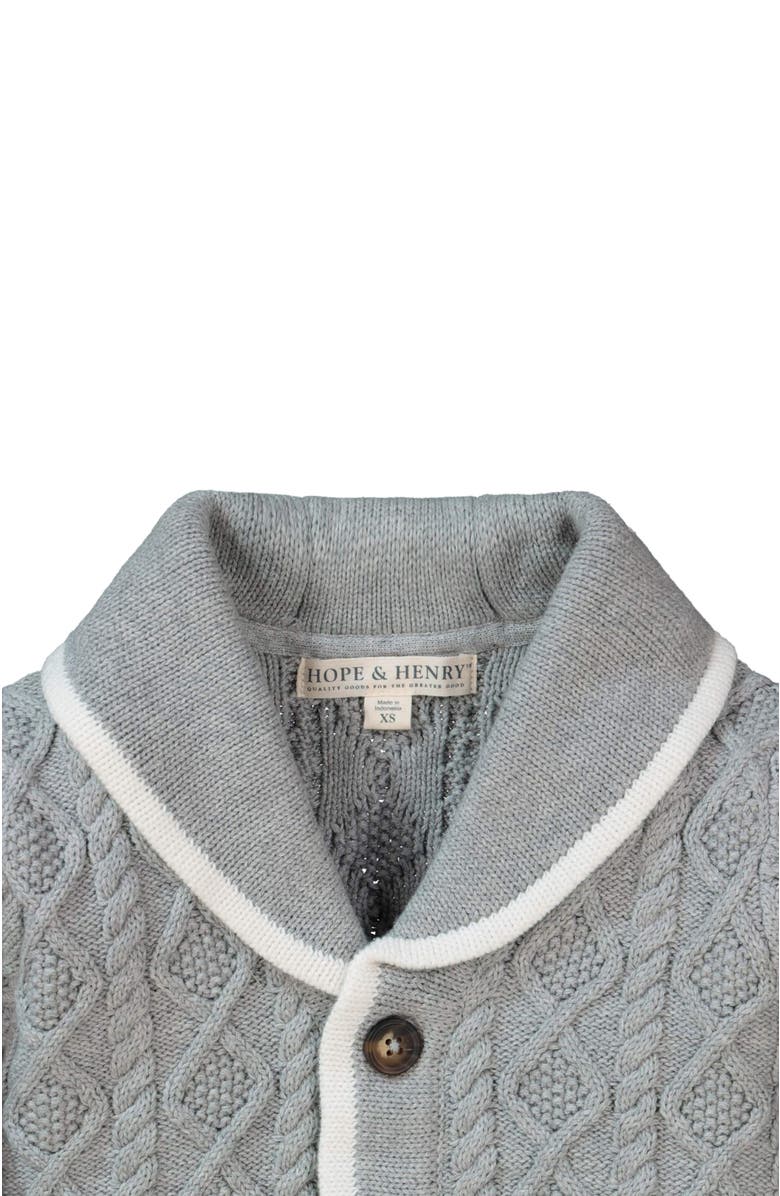 Hope & Henry Baby Boys' Shawl Collar Cardigan, Infant, Alternate, color, 