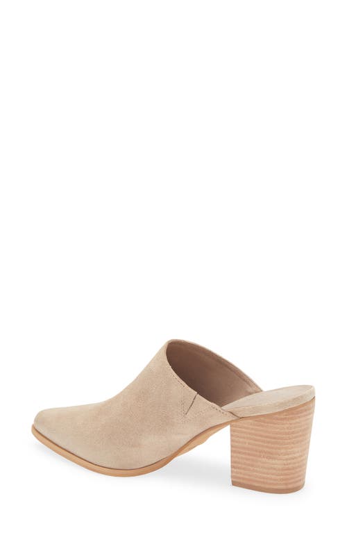 Chocolat Blu Emery Pointed Toe Mule In Brown