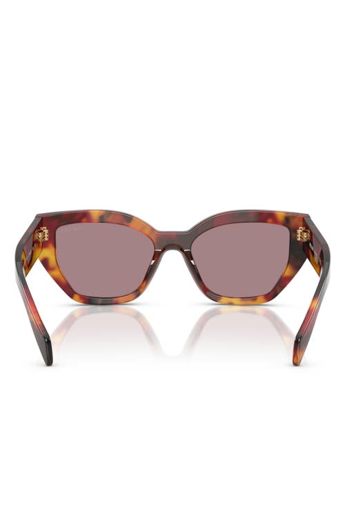Prada 55mm Butterfly Sunglasses In Brown Tortoise