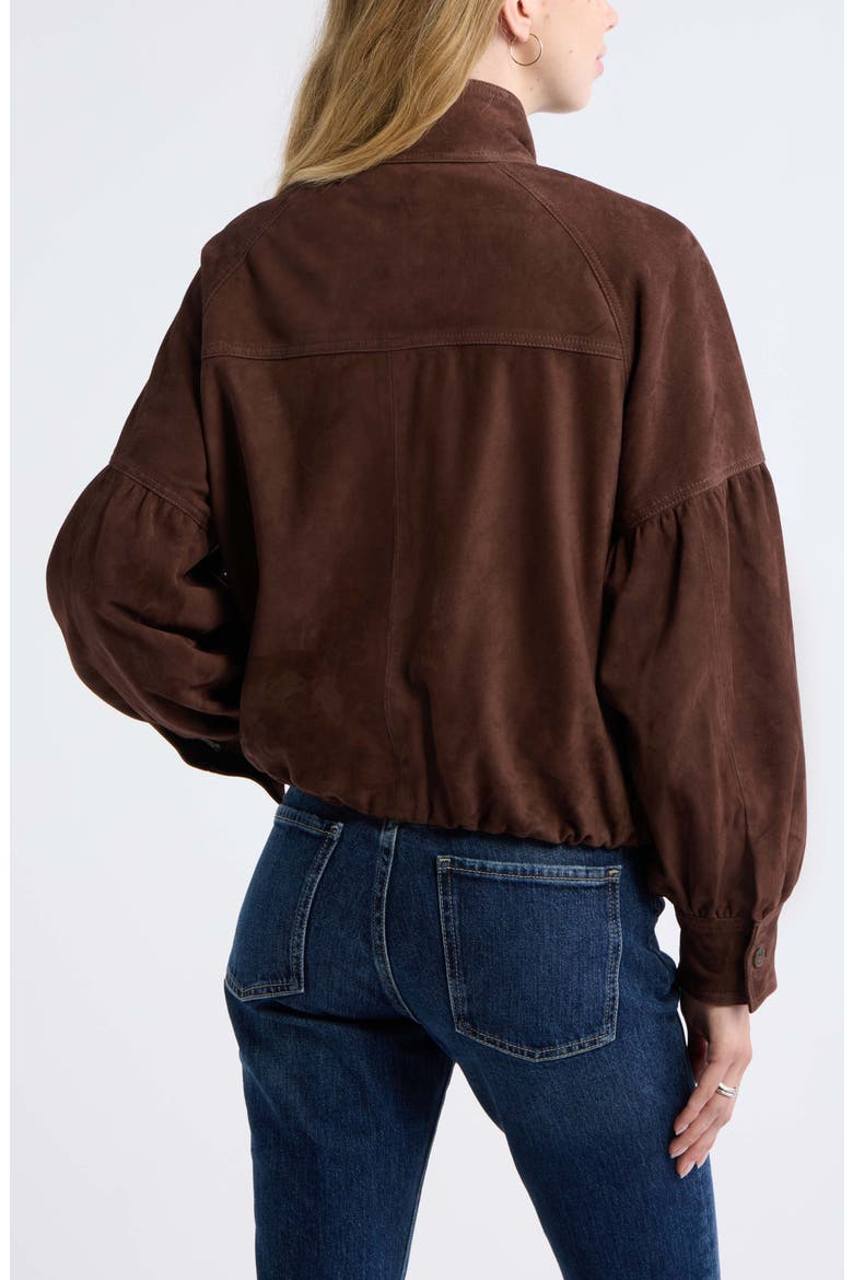 Blouson Suede Leather Jacket, Alternate, color, BROWN CHICORY