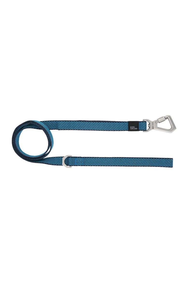 'Escapade' Outdoor Series 2-in-1 Convertible Dog Leash & Collar - Large, Alternate, color, BLUE