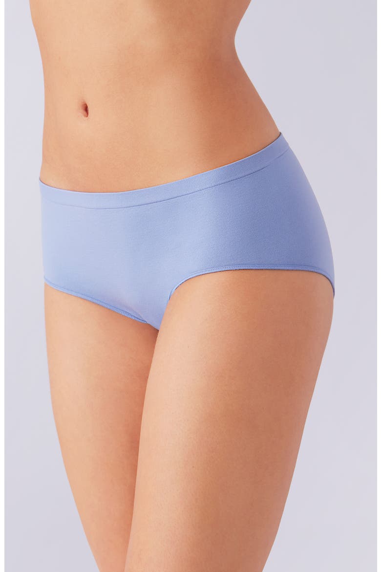 Comfort Intended Daywear Hipster Panties, Alternate, color, COUNTRY BLUE