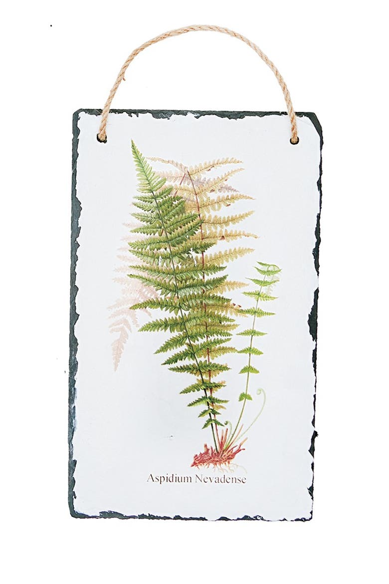 Fern Slate Hanging Assortment of 4 Wall Art Signs 7" x 11.75", Alternate, color, White
