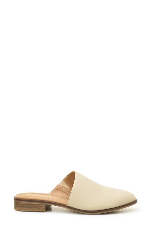 Catherine Catherine Malandrino Asymmetric Mule Flat