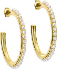 Ted Baker Peraa Medium Pearl Hoop Earrings