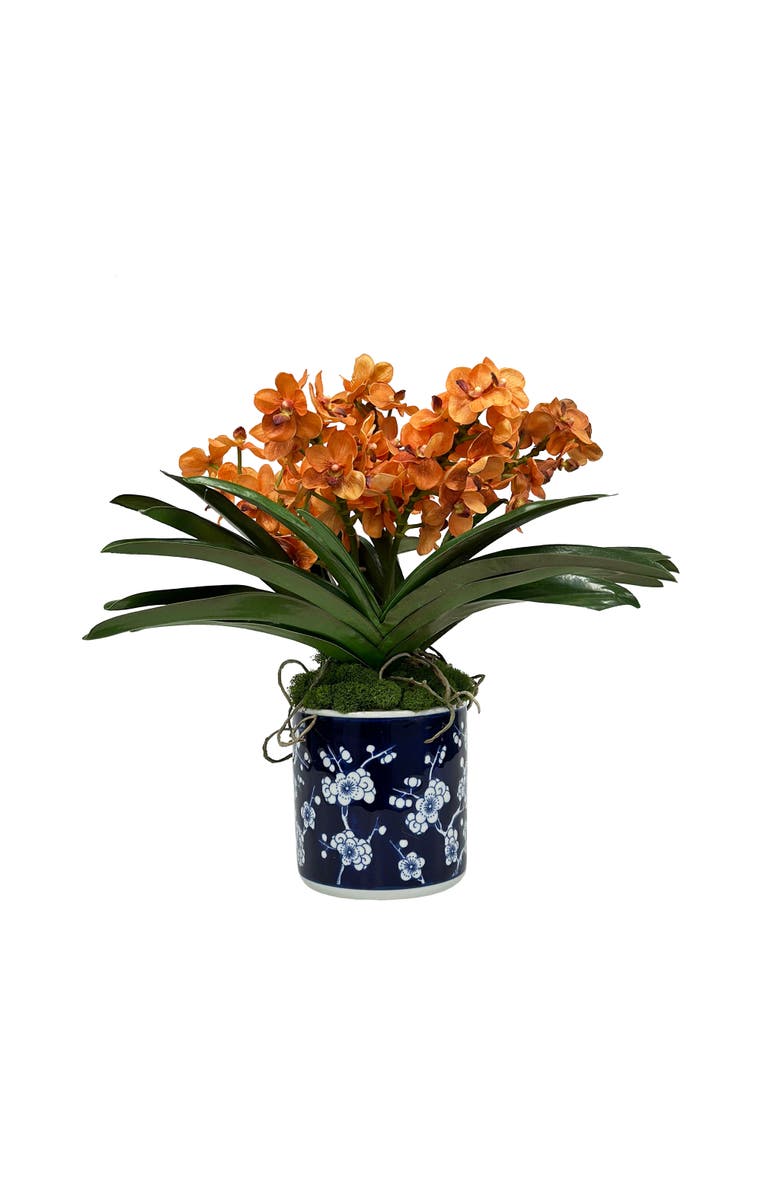 Winward Home Vanda Orchid In Blossom Pot, Main, color, Gold