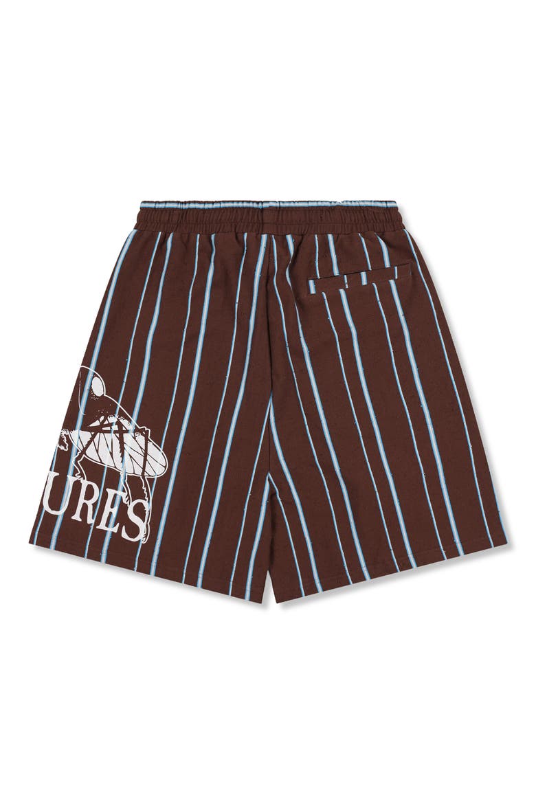 Teleport Wide Stripe Drawstring Cotton Shorts, Alternate, color, BROWN