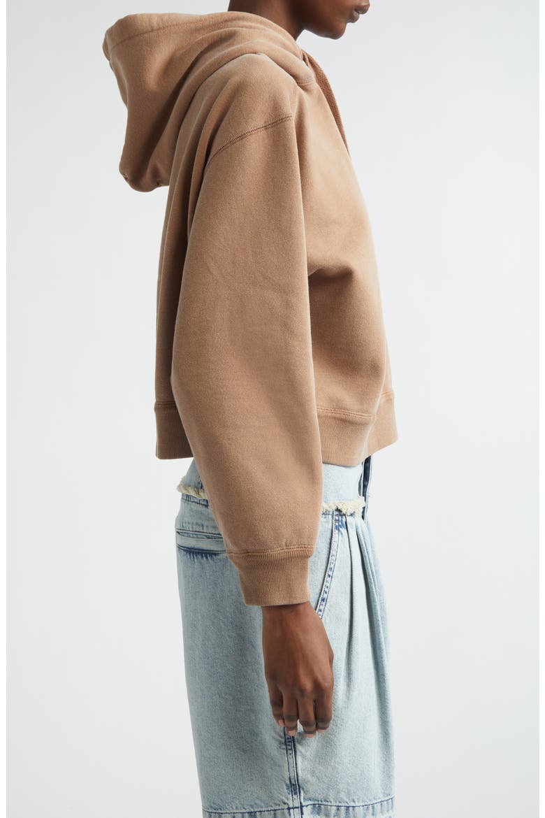 Salmy Cotton Blend Hoodie, Alternate, color, CAMEL
