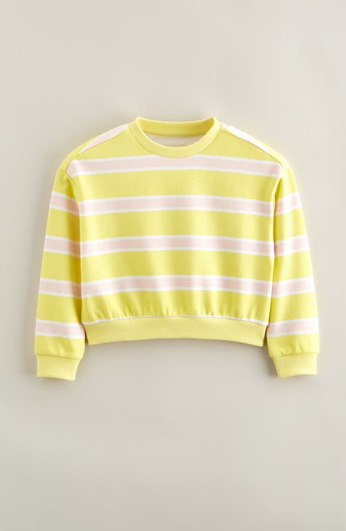Tucker + Tate Kids' Stripe Sweatshirt